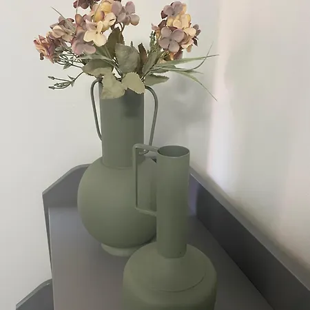 דירה El Rincon De *