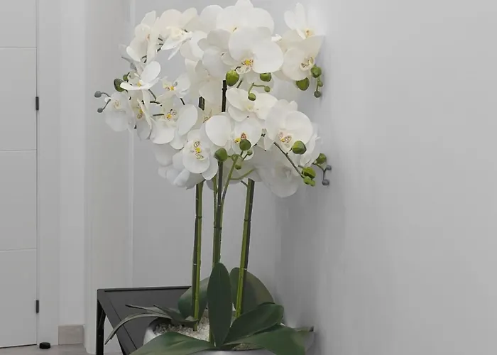 El Rincon De Cangas do Morrazo